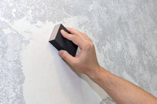 Best Basement Mold Removal  in Reliez Valley, CA
